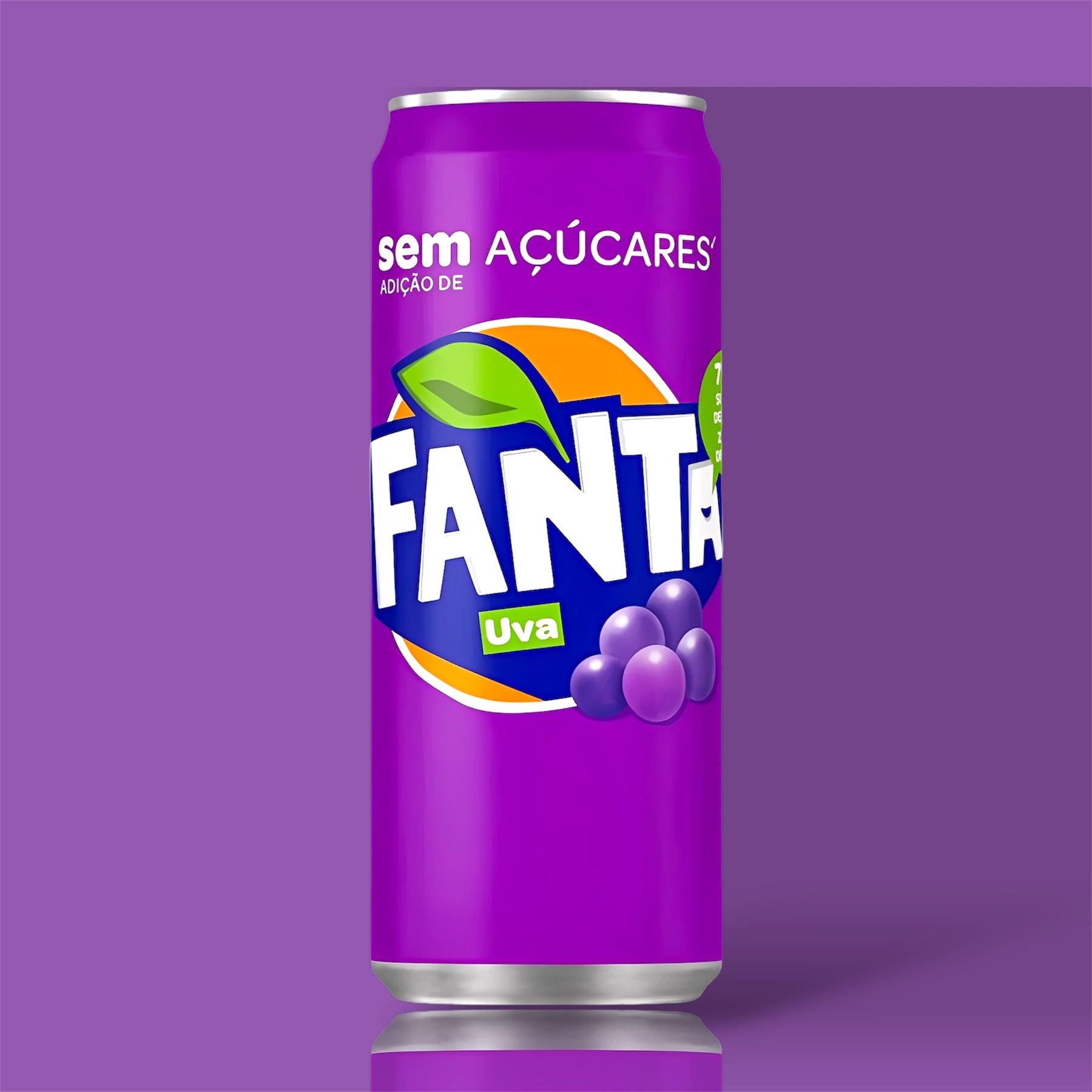 Fanta Raisin 12x330ml